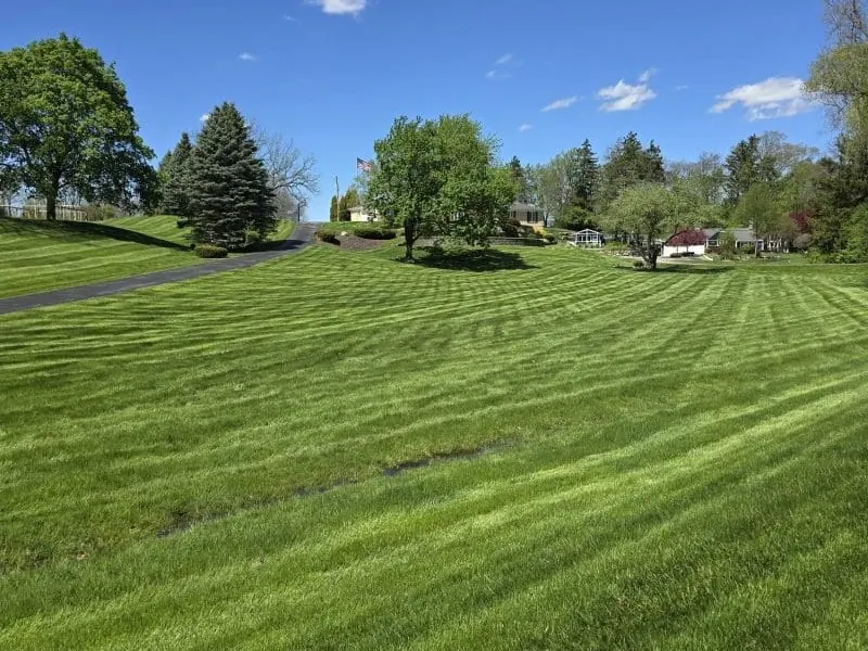 Independent Lawn Service technician applying lawn care treatments in Livonia Michigan