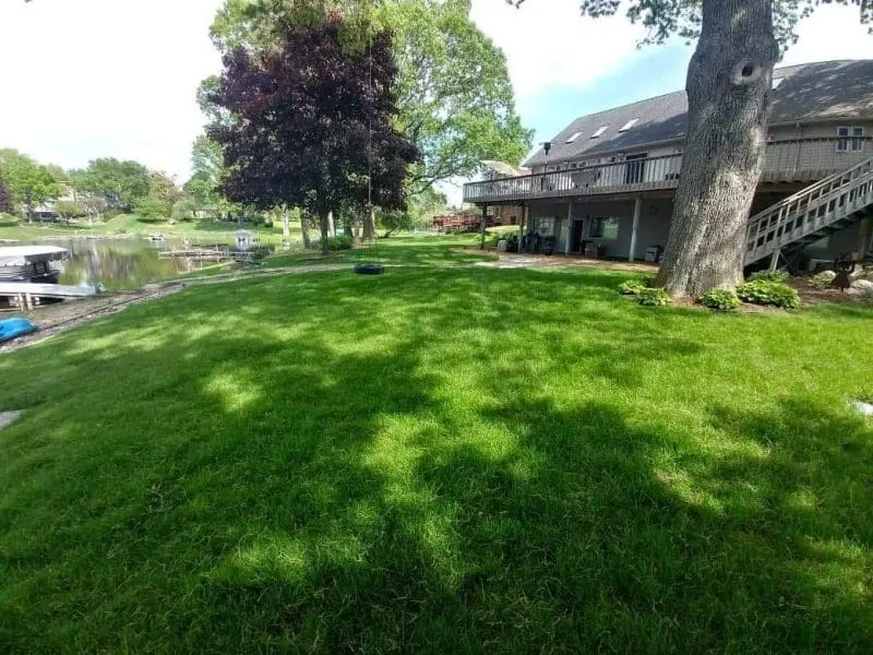Healthy green residential lawn maintained by Independent Lawn Service in Southeast Michigan
