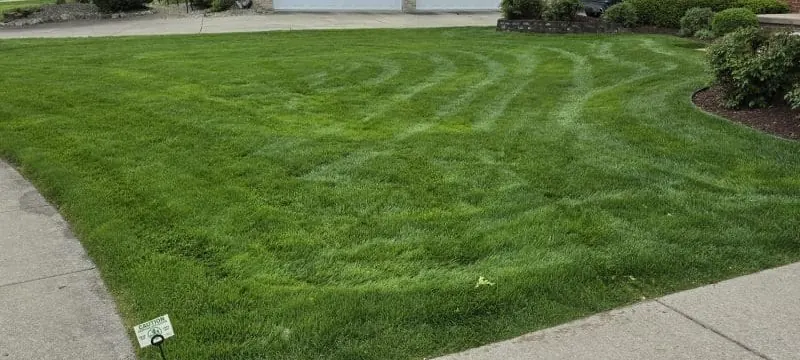Weed control treatment for dandelions and broadleaf weeds in a Southeast Michigan lawn